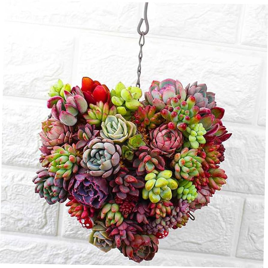 多肉 ハート型プランター Amazon.co.jp: 排水穴のあるハート型の多肉植物プランター、屋外