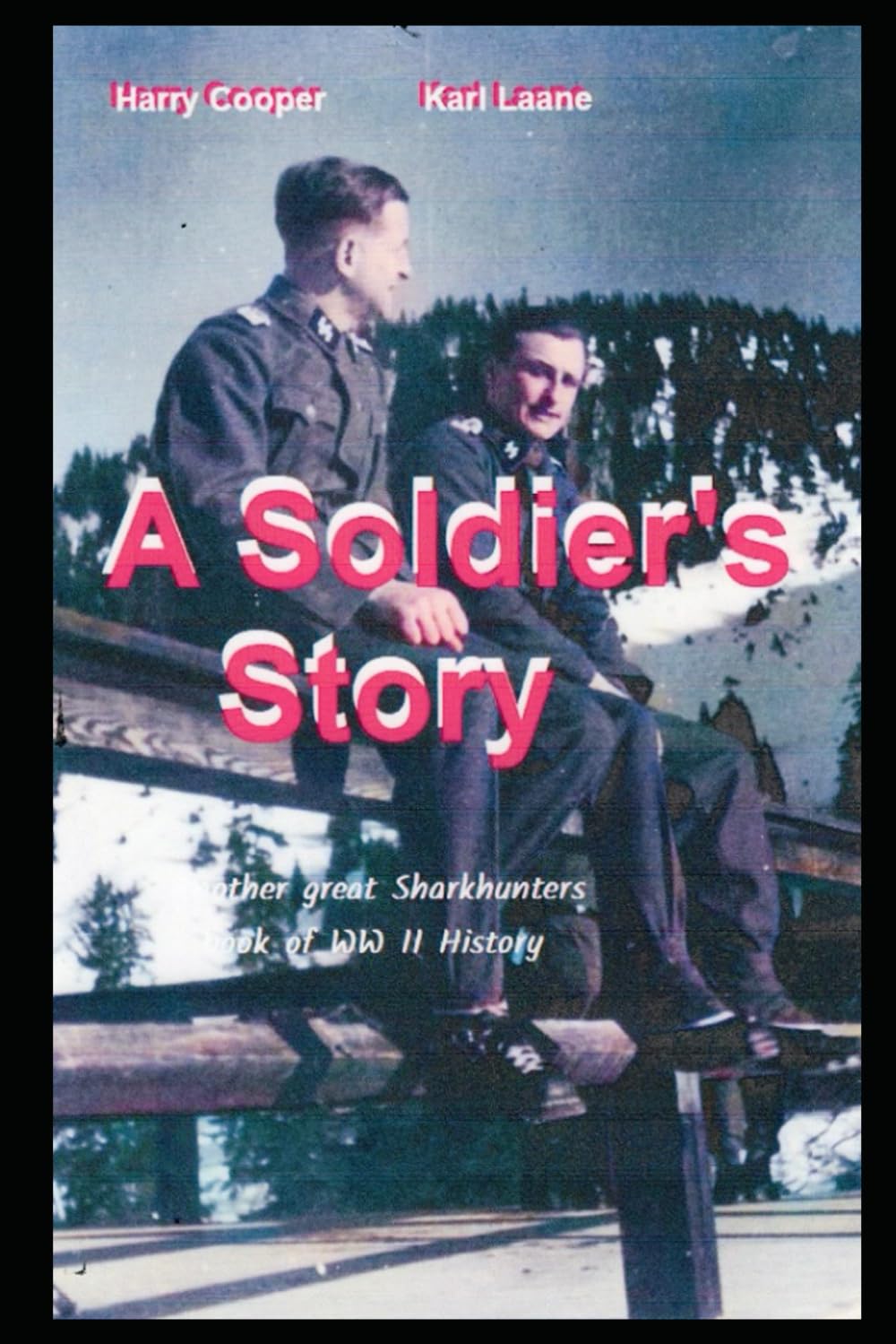 A Soldier's Story