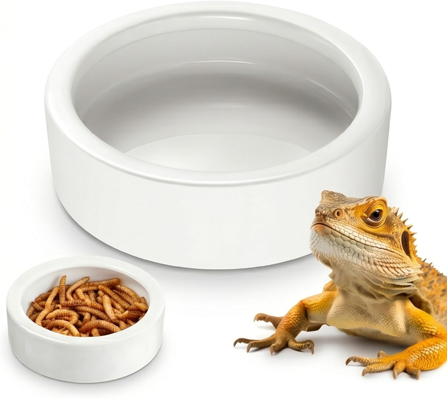 Reptile Food Dish Ceramic Water Bowl, Escape Proof Worm Feeder 3in