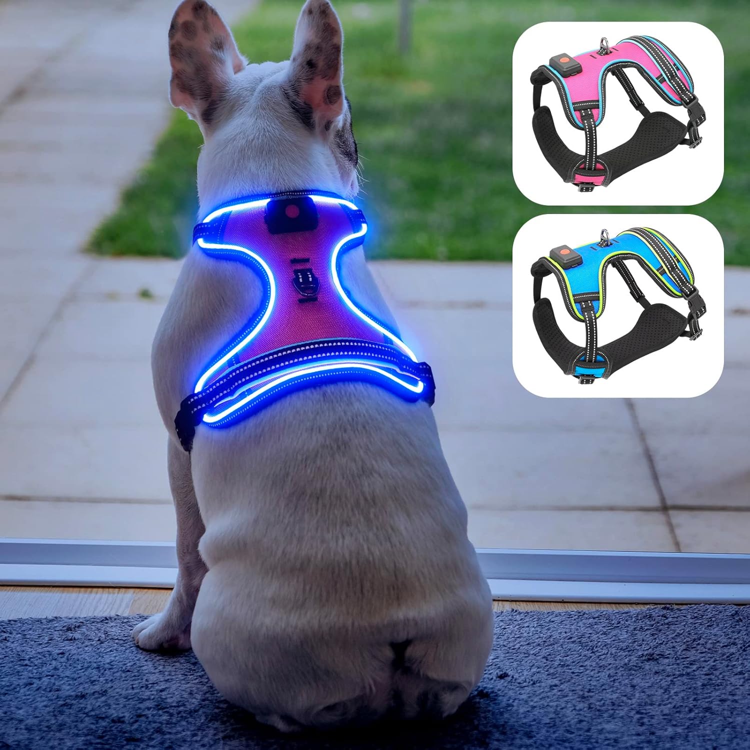 Safety LED Dog Harness - Light Up Dog Vest, No-Pull Dog Harness - Rechargeable Glowing Pet Harness for Night Walking & Camping (Pink+Blue Light, Medium)