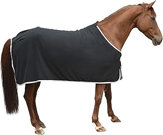 KERBL Economic Couverture RugBe pour Cheval Noir 165 cm 1 Unité