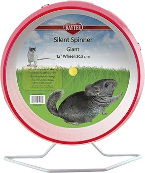 Best Rat Toy