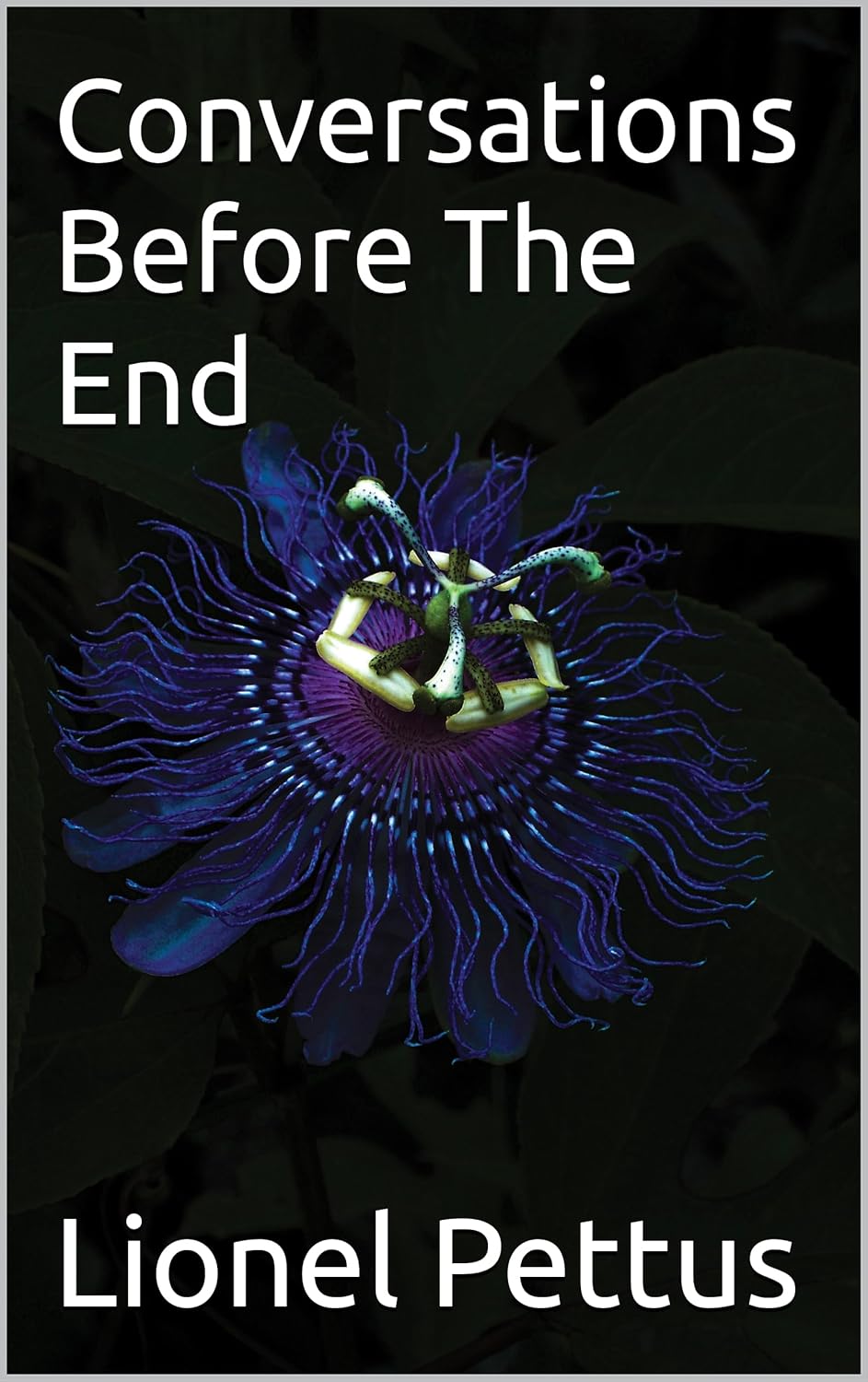 Conversations Before The End      Kindle Edition