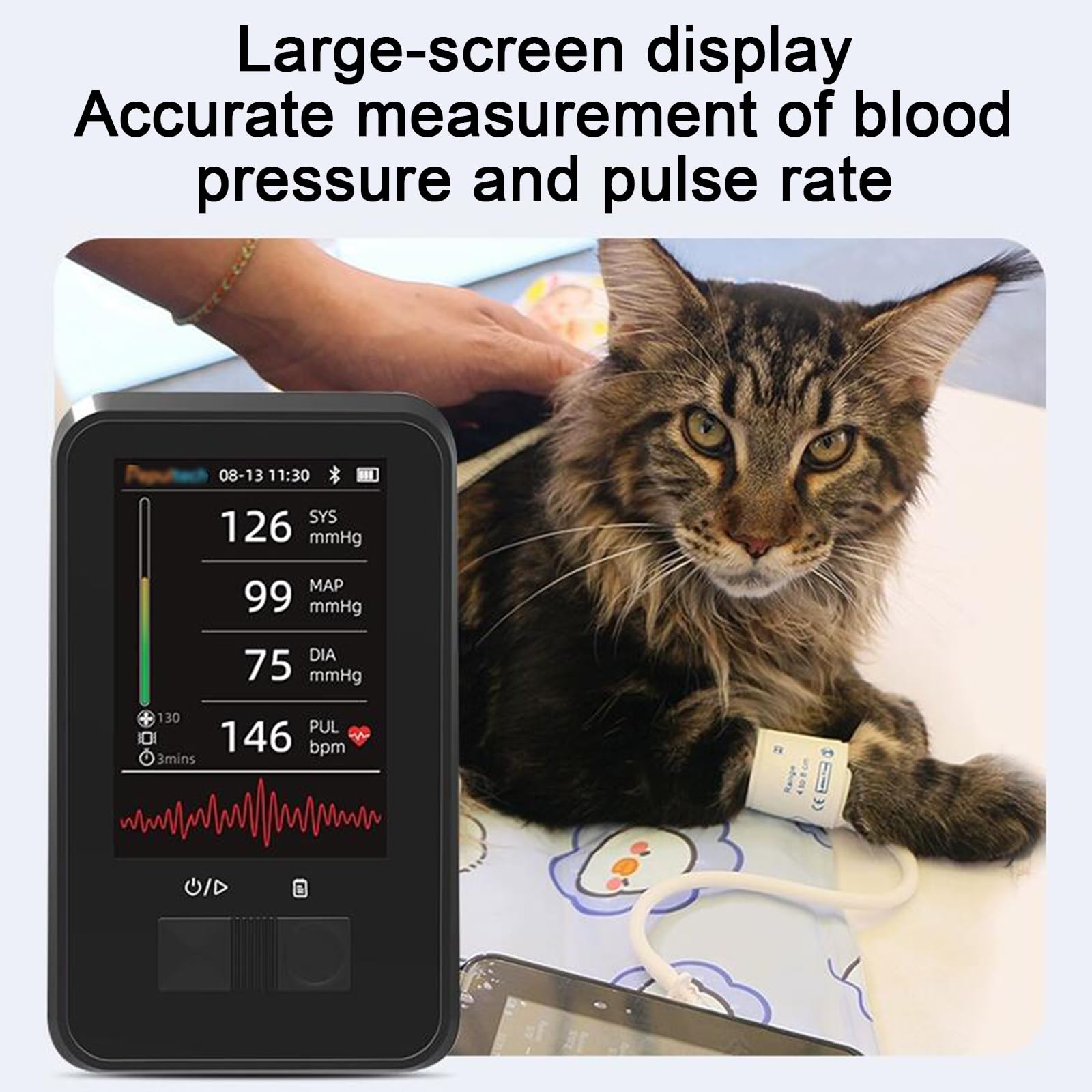 Monitor de presión Arterial Veterinaria Digital, Equipos Veterinarios, Cuidado de Mascotas/Gatos/Animales, 3 Manguitos de espigmomanoma electrónico, para Uso en el hogar, clínicas veterinarias