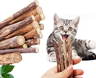 Rocendlor 20Pcs Silvervine Cat Chew Sticks, Natural Silver Rattan Cat Toys, Catnip Chew Toys for Kittens Kitty Cats, Silver Vine for Cats, Matatabi Sticks, Teeth Cleaning Toys, Make Cats Happy