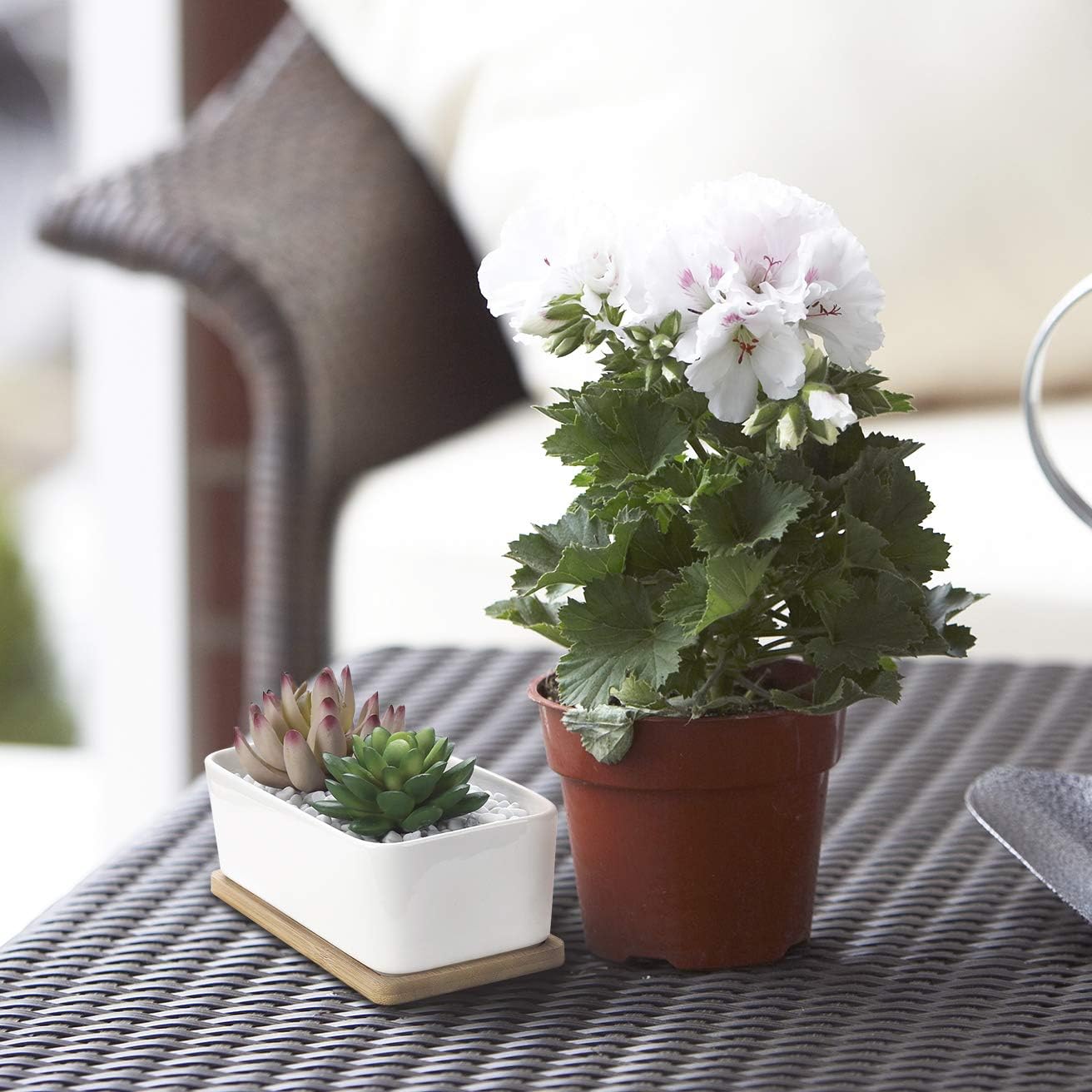 2 Pack Succulent Plant Pots - OAMCEG 6 Inch Rectangular Ceramic Planters, Set of 2 White Cactus Container, Bonsai Pots, Flower Pots with Drainage Hole & Bamboo Tray (Plants NOT Included)