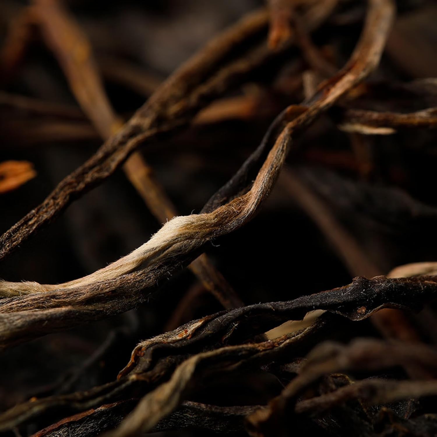 Yunnan Pu-erh Raw Tea Cake, 100g × 5 Pcs | Yiwu Ancient Tree | Hand-Pressed | Aged & Collectible | Premium Tea Gift Set | 易武古树茶