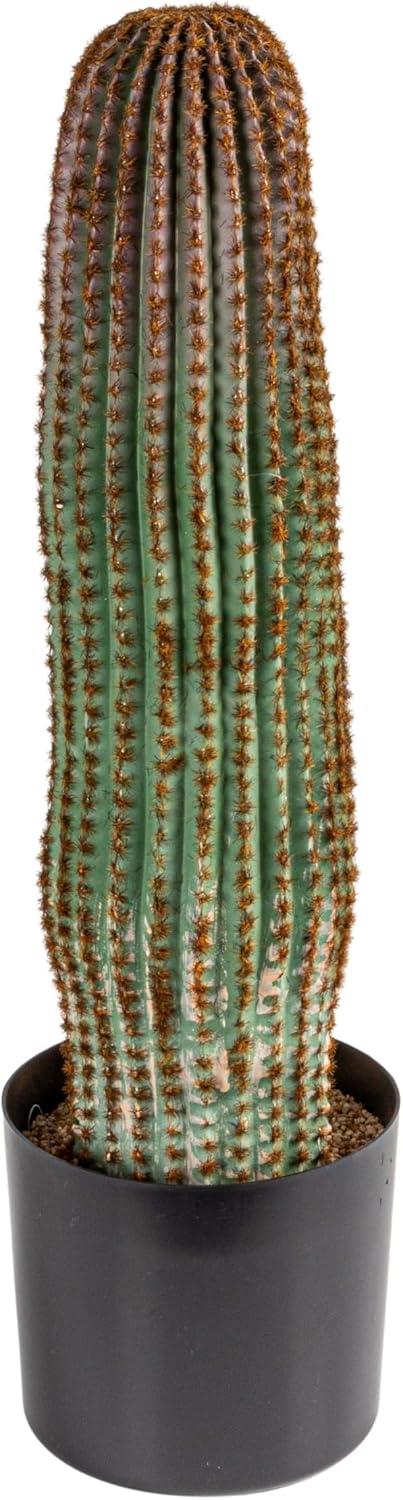 Creative Co-Op Round Faux Vatricania Cactus in Plastic Pot, Green