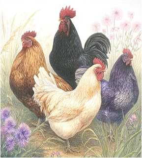 Dishwasher Magnet Cover, Animal Chickens Garden Flowers Colorful Fridge Panel Decal Cover Washing Machine Cabinet Reusable Refrigerator Magnet Cover for Home Decor Kitchen Decoration, 23 x26 I
