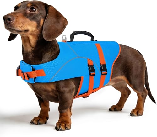 ASENKU Dog Life Jacket for Swimming & Boating, High Buoyancy Dog Life Vest with Rescue Handle, Reflective & Adjustable Fit for Small to Large Dogs (Blue, M)