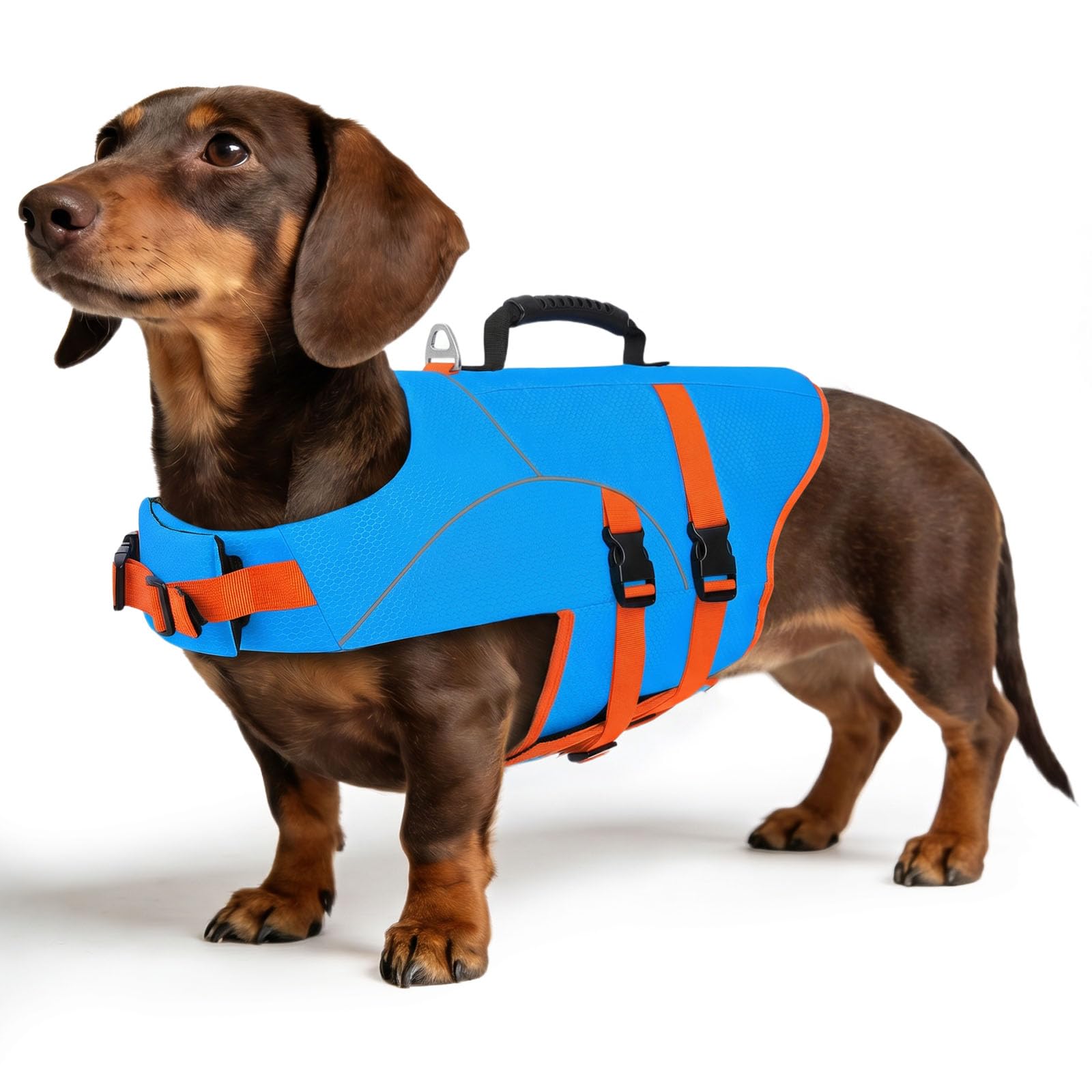 ASENKU Chaleco Salvavidas para Perros para Perros Pequeños, Medianos y Grandes, Arnés Ajustable + Asa de Transporte, Bandas Reflectantes, Ideal para Natación, Paseos en Barco y Actividades Acuáticas