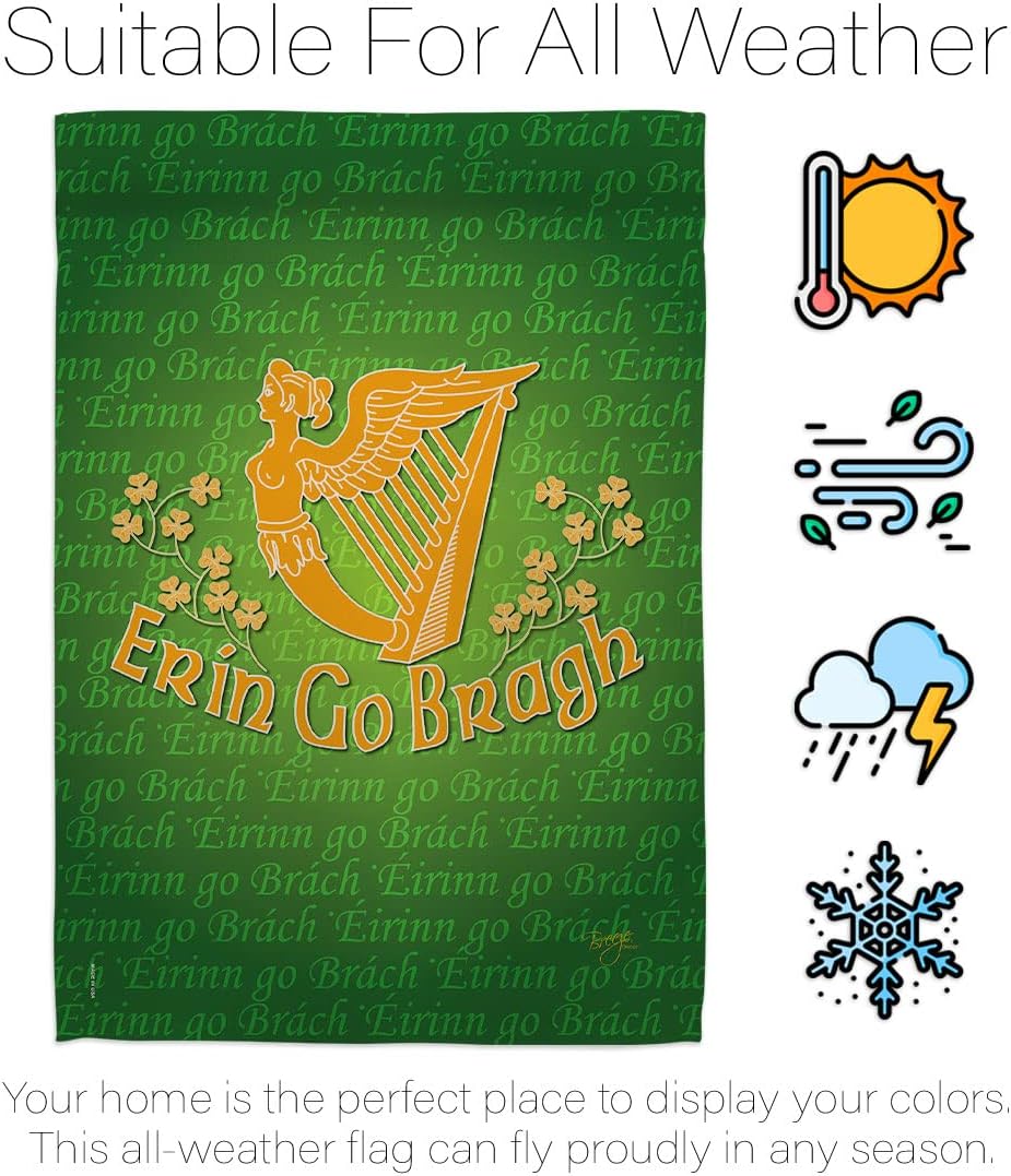 Erin Go Bragh Garden Flag - Set Wall Holder Spring St Patrick Shamrock Leprechaun Lucky Coin Holiday March Irish Clover - House Decoration Banner Small Yard Gift Double-Sided Made In USA 13 X 18.5