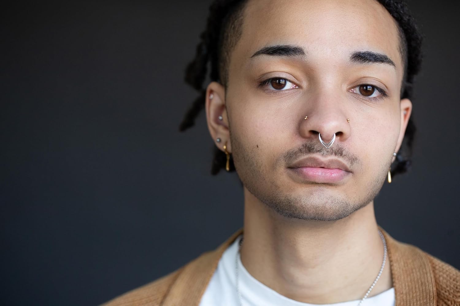 Pierced Owl 16GA ASTM F-136 Implant Grade Titanium Double Chevron Hinged Segment Clicker Ring - Image 5