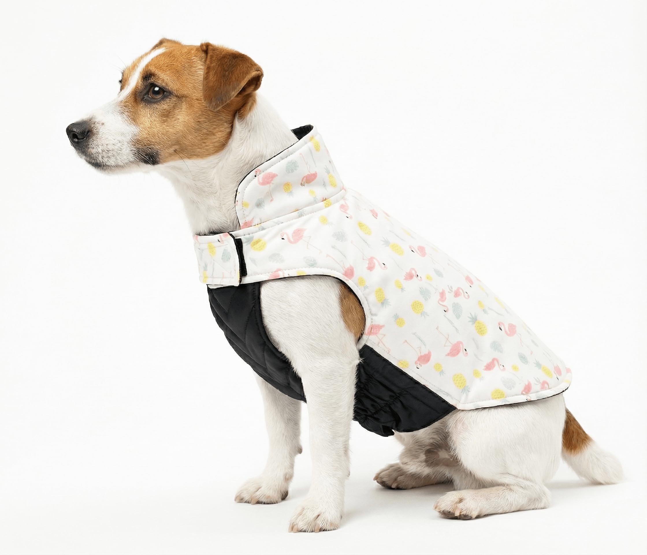 DroolingDog Reversible Dog Jacket Winter Snow Coat Warm Dog Coats Cozy Snow Jacket Vest for Small Medium Large Dogs, XS
