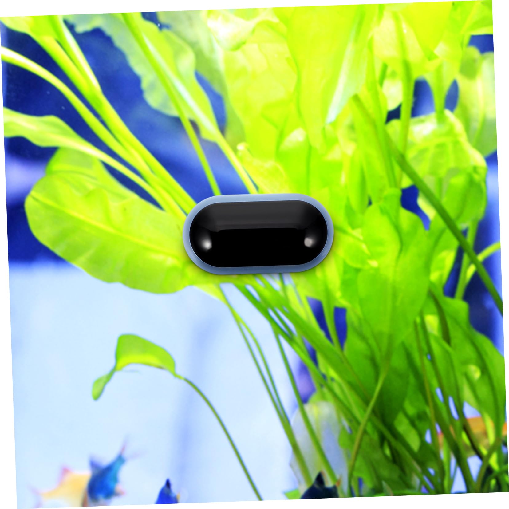 Kisangel 5piezas Termómetro Digital Para Acuarios Medidor De Temperatura De Alta Precisión Pantalla Led Termómetro Adhesivo Para Pared De Peceras Herramienta De Medición De Temperatura