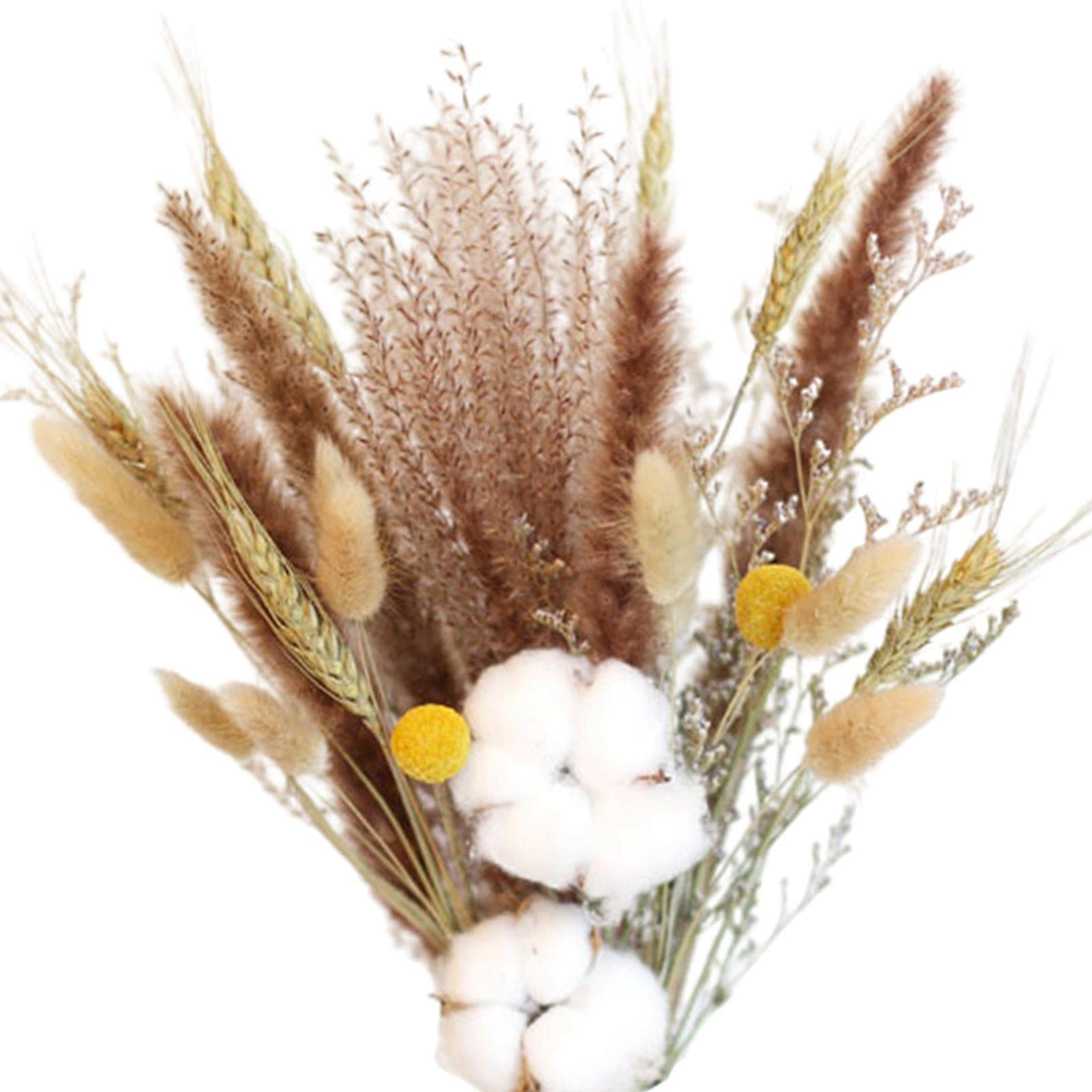 Dried Pampas Grass Phragmites Reed Flower Bunch Home Living Room Decor|Home & Garden | Home D?©cor | Floral D?©cor| Floral D?©cor-image-19
