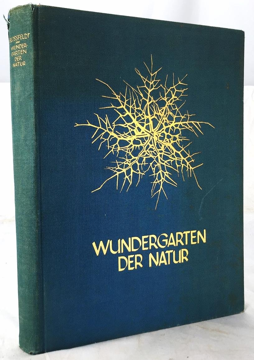Wundergarten der Natur, neue Bilddokumente schöner Pflanzenformen,