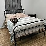 Review Image by Mackenzie Goode Mackenzie Goode