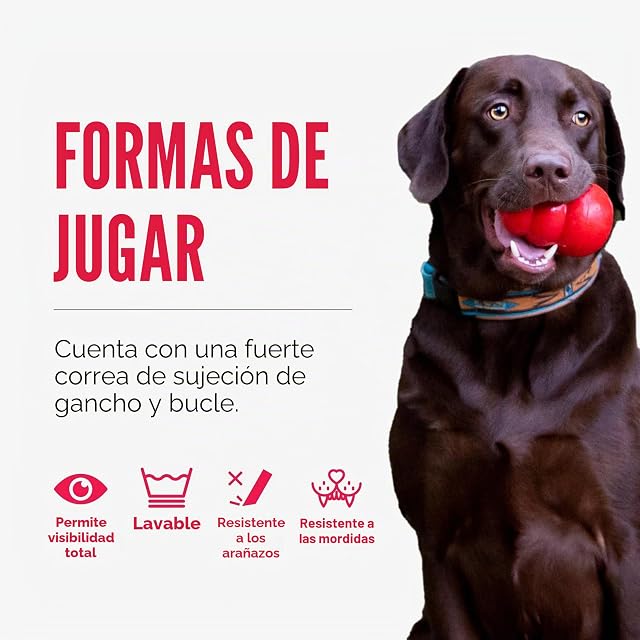 Foto 4 de 7 de KONG Cloud E-Collar, Dog Collar, Medium