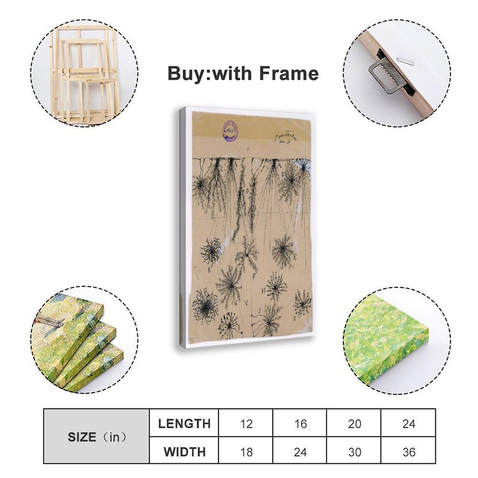 Cuadro de neuronas Cajal – Póster de anatomía cerebral antigua de células gliales para dormitorio, lienzo para decoración de pared, oficina, habitación, decoración estética, marco de regalo, 12 x 18