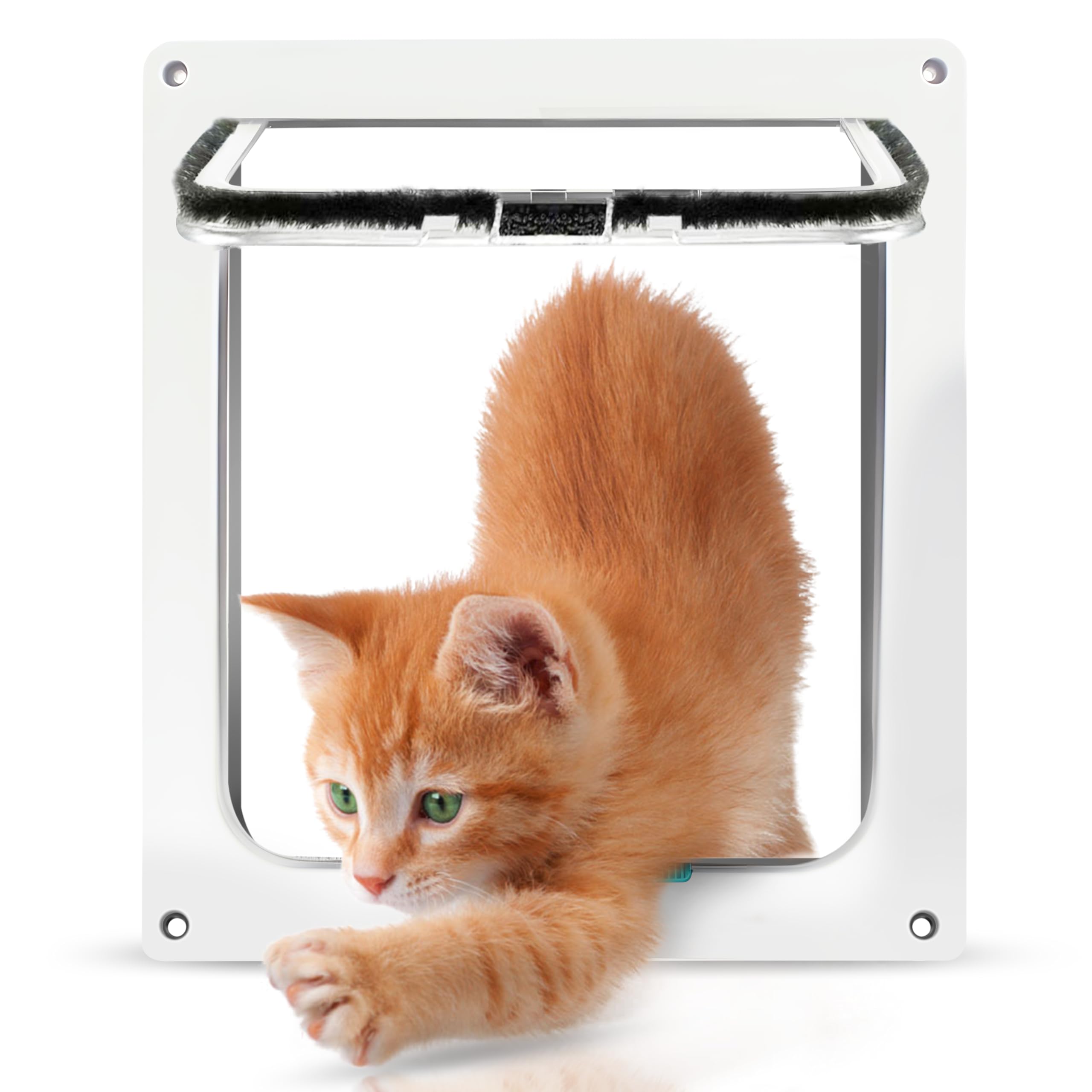 Gattaiola Magnetica 20x20cm - Porta Per Gatti E Cani Piccoli Con 4 Modalit&agrave; Blocco