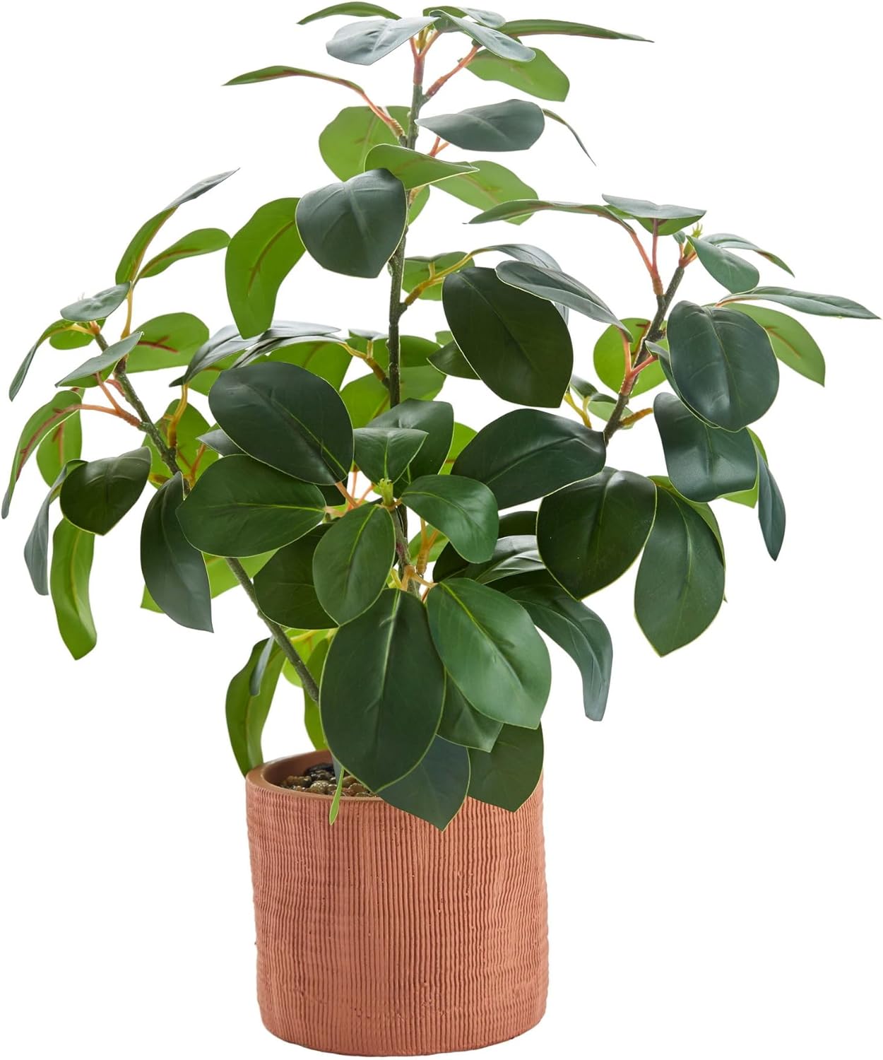 AlphaAcc 16.8'' Artificial Ficus Plant Indoor Real LookingFake Plant Faux Greenery with Thick Oval Leaves Terracotta Vertical Ceramic Planter with Pebbles Detail for Home Office Desk Shelf Decor