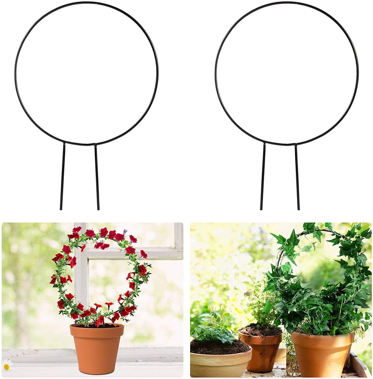 sAtimE Black Metal Plant Trellis – Round-Shaped Iron Vine Support Rack for Climbing Plants | Decorative Indoor Garden Trellis for Potted Plants & Flowers | Vertical Plant Holder (1 Piece)-image-22