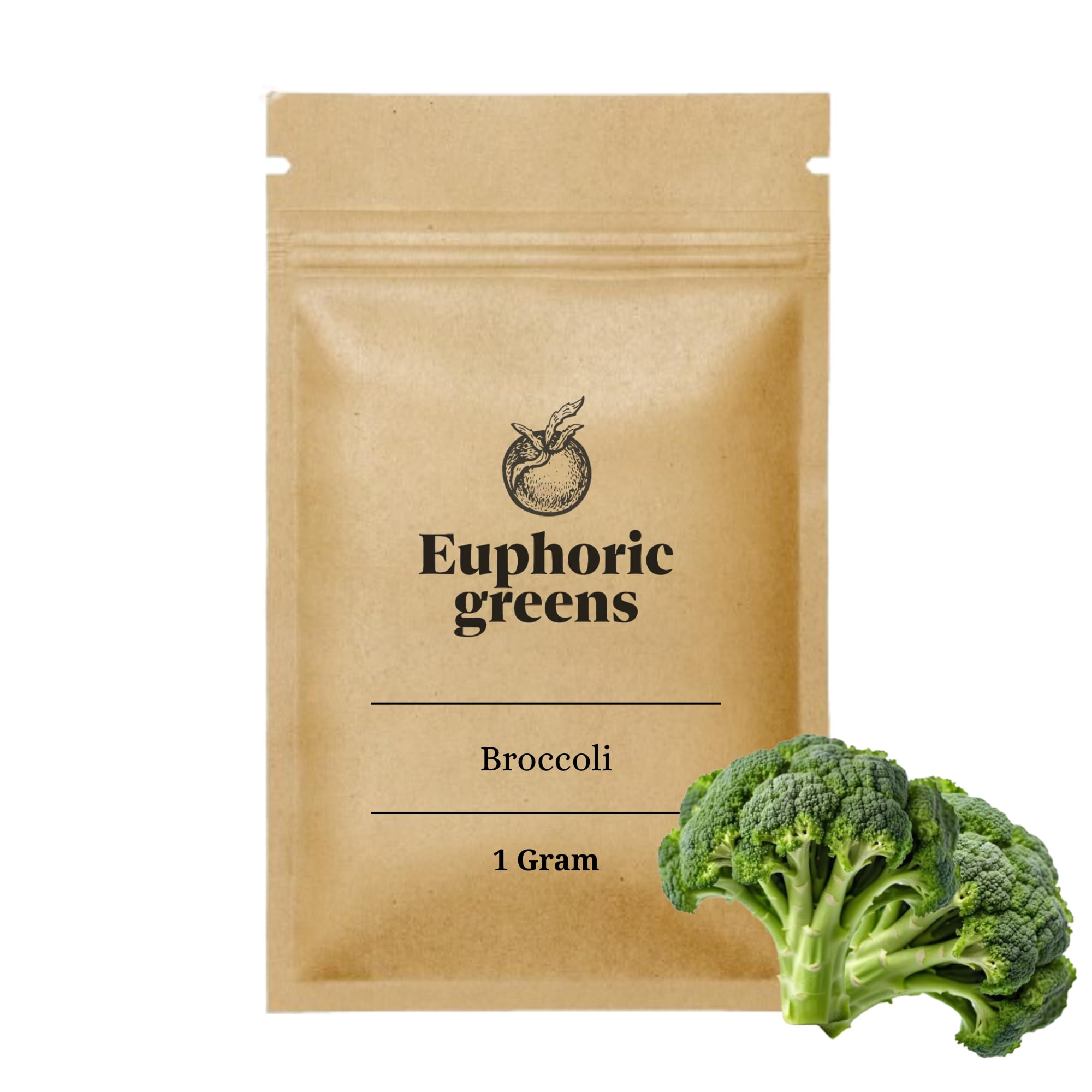 Broccoli Seeds (1g) | Green Broccoli Vegetable Seeds for Planting | High Yield Winter Crop for Home Garden & Terrace Gardening-image-23