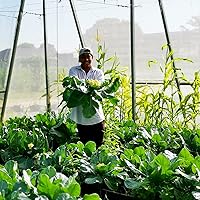 Vista 5 de Barrera de plagas de red de insectos de jardín: 10 x 25 pies para protección del jardín, mosquitera de malla fina para árbol de cigarras, cubierta