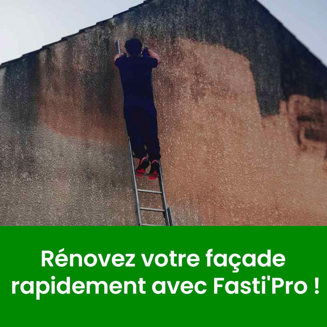 Nettoyant façade, terrasses, dalles Fasti pro Rénovateur - Elimine les traces rouges et noires sur façades, allées en seulement 30 minutes - Bidon de 5L