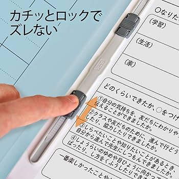 Amazon | プラス ファイル キャリア・パスポート専用フラット