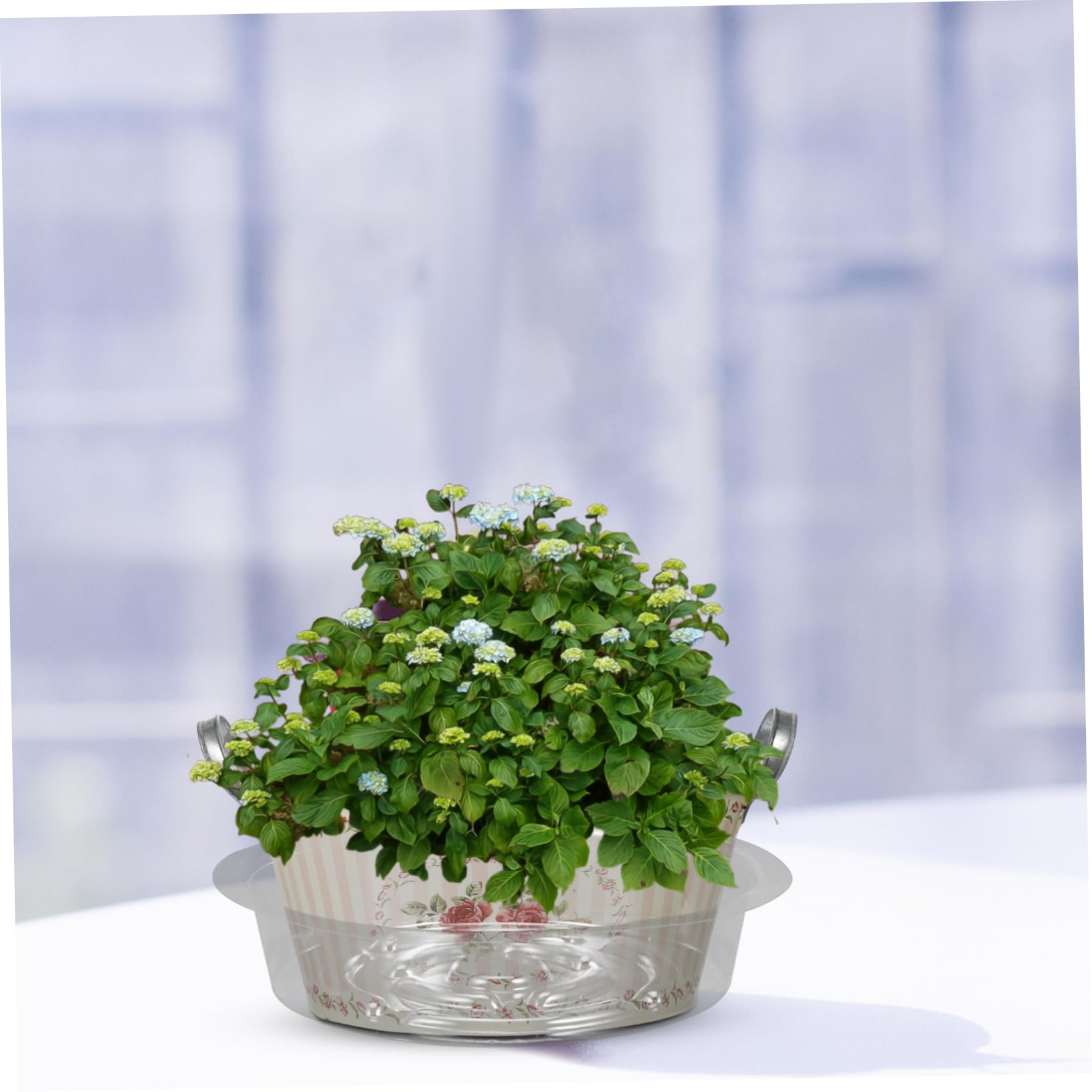 Toddmomy Bandejas para Macetas De Jardín Platos Transparentes para Plantas Recogedores De Agua Drip Tray para Interior Y Exterior 30 Piezas X 5