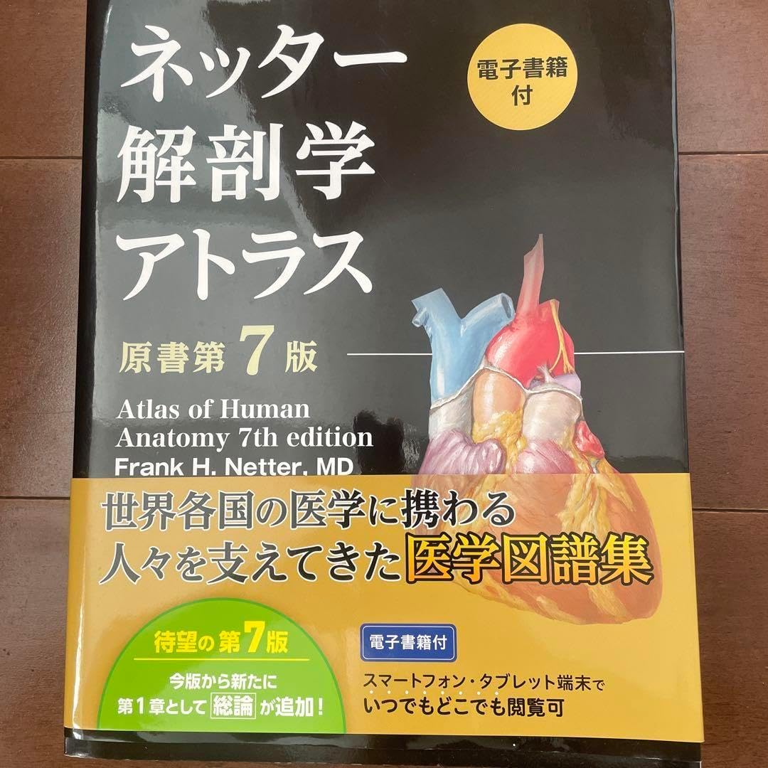 ネッター解剖学アトラス 電子書籍未使用】ネッター 解剖学アトラス 