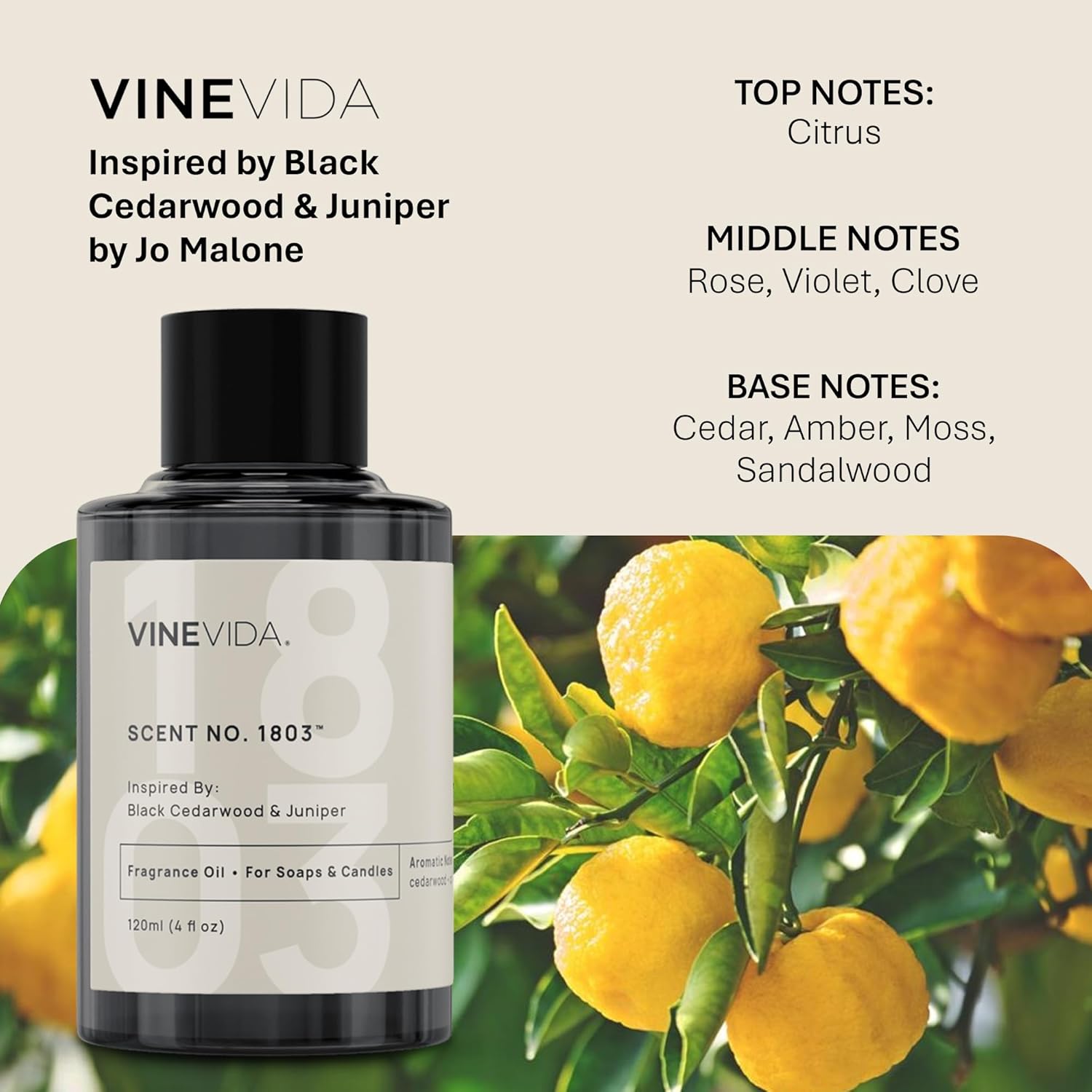 VINEVIDA [120mL] Black Cedarwood & Juniper Fragrance Oil for Candle Making - Natural Candle Oil Scents - Soap Making Essential Oil - Made in USA