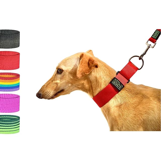 bub's Collar Martingale - Collar para Perro, antialérgico y Suave.Diseñado para Todo Tipo de Razas de Perro…