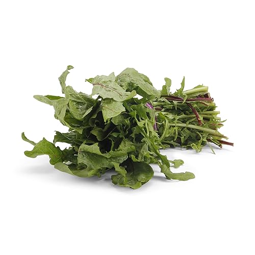 Organic Red Dandelion Greens, One Bunch