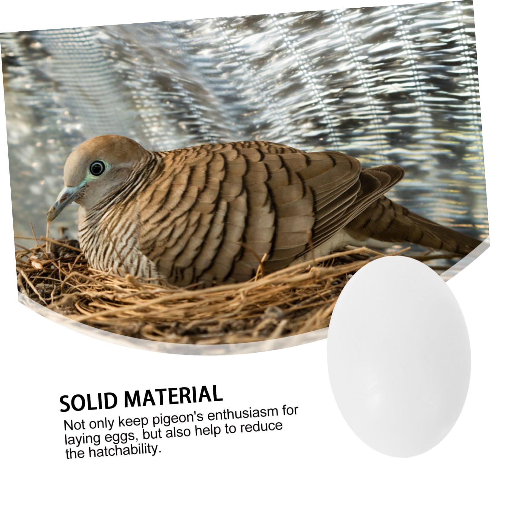 10 Pezzi Uova Di Piccione Simulazione Di Uova Di Piccione In Plastica Solida Per La Schiusa Dei Piccioni Aiuto Per La Deposizione Dei Piccioni Attrezzi Agricoli Pollame - 5