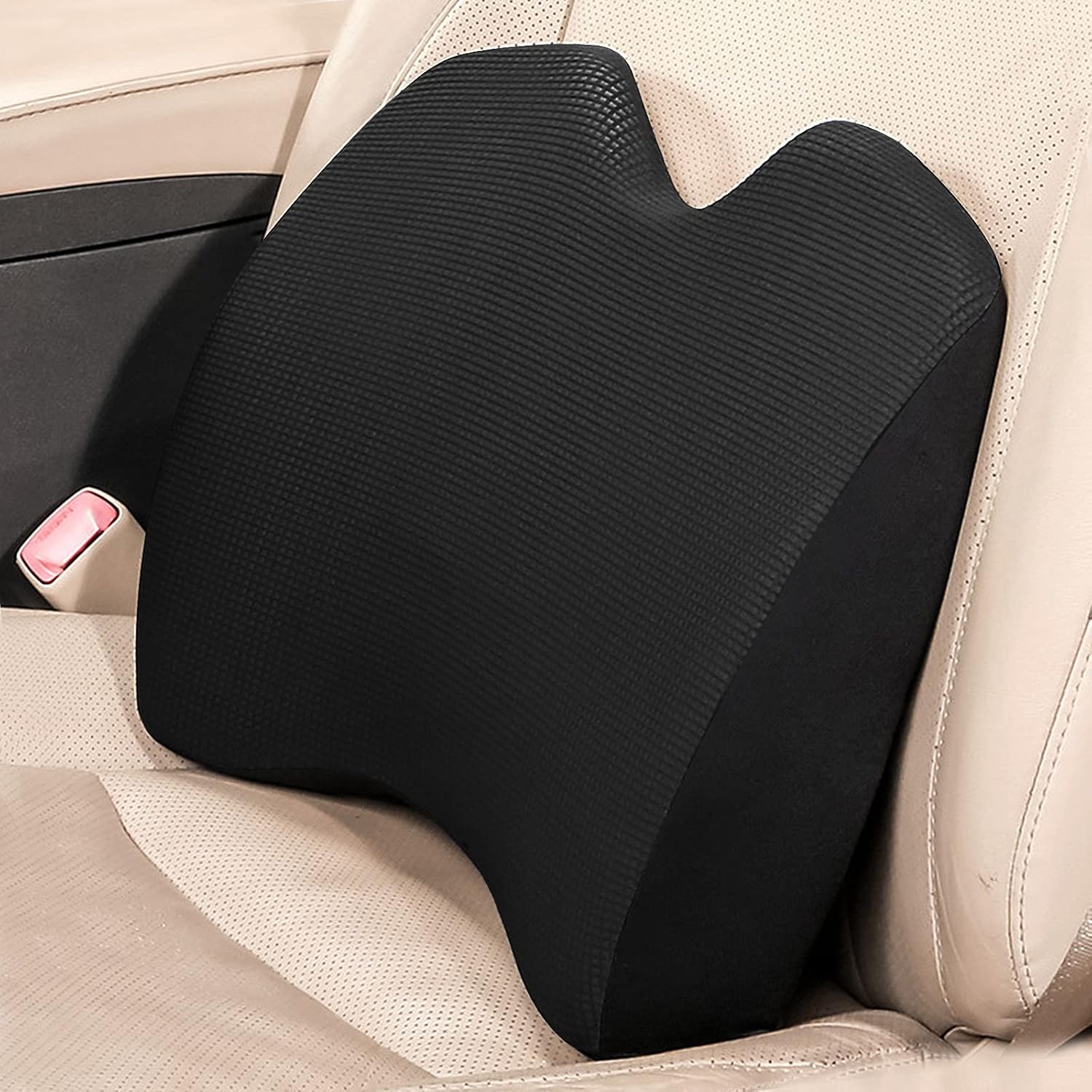 portable back support pillow