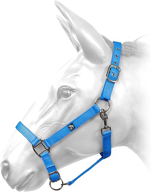 Whitaker comfort halter headcollar for horses in a super soft webbing which is size adjustable for a comfortable fit (FULL, Turquoise)