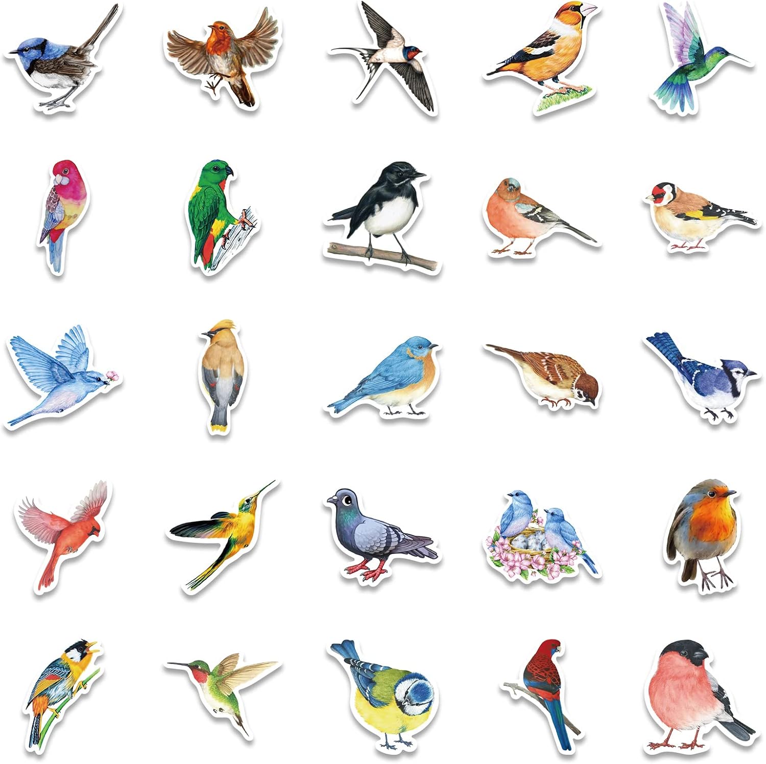 50 Pcs Watercolor Bird Stickers for Kids Teens Adults Boys Girls Gift,Stickers Pack for Laptop,Skateboard,Luggage,Car,Bike - Image 4