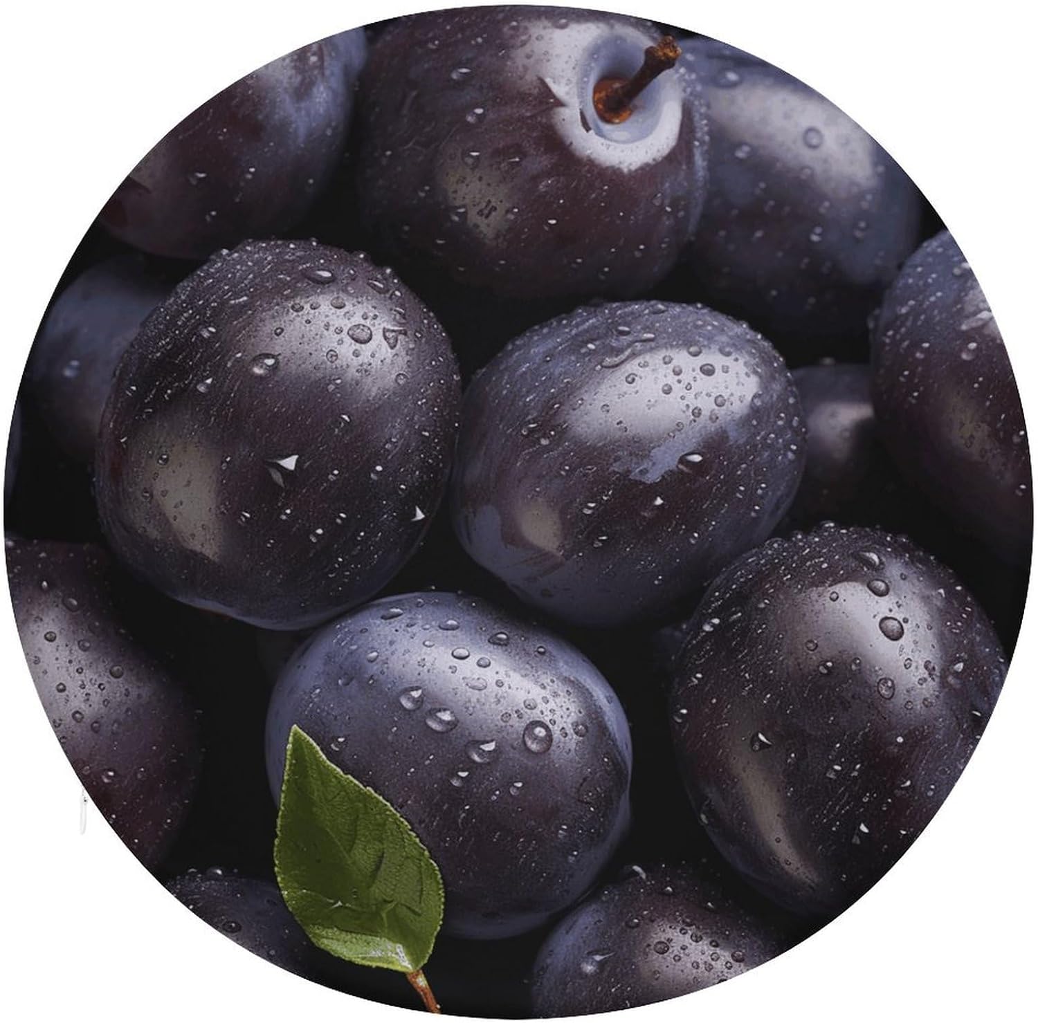 Some Purple Plums Chair Cushions Floor Pillow Chair Pad