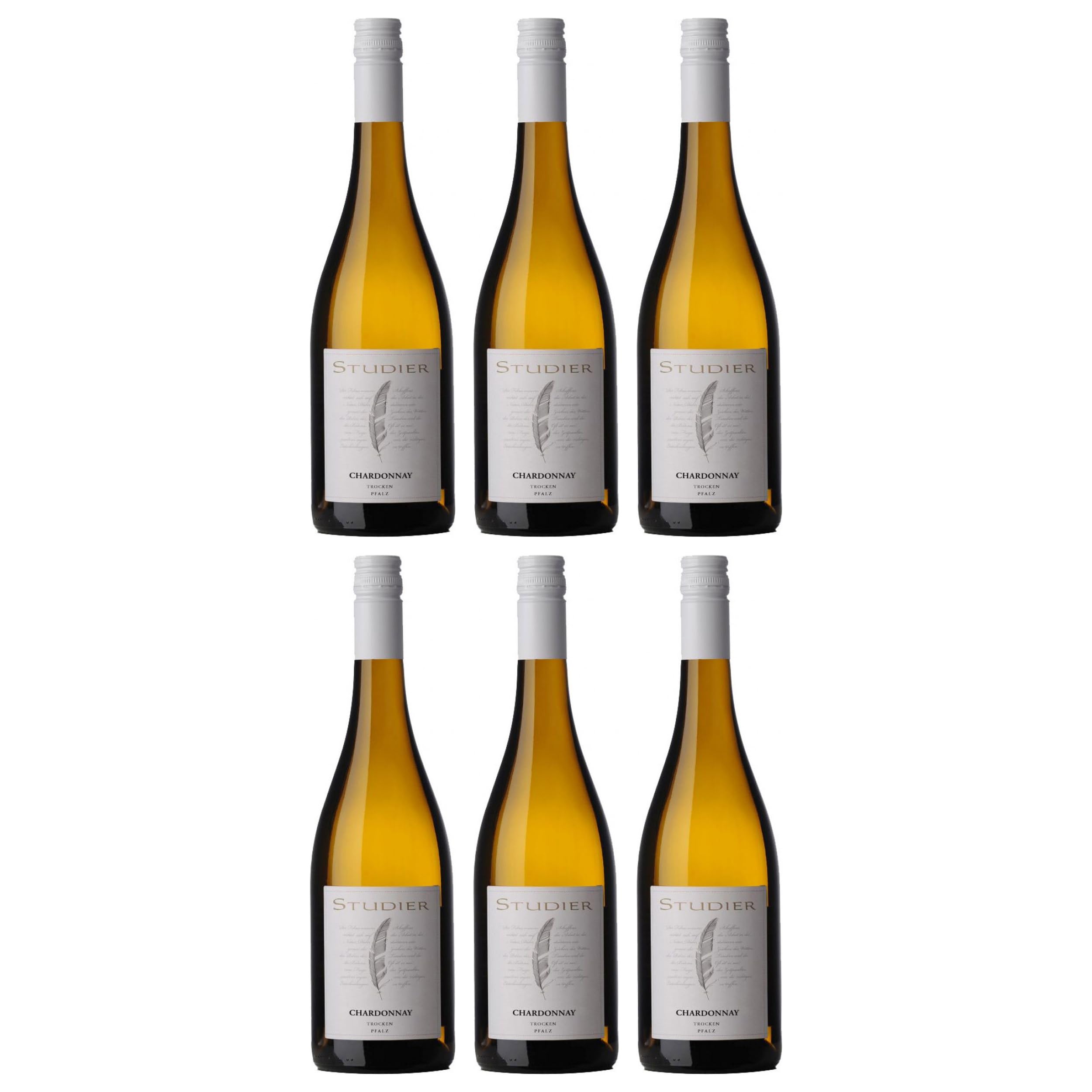 Weingut Studier Chardonnay trocken BIO vegan Deutschland inkl. FeinWert E-Book (6 x 0.75 l)