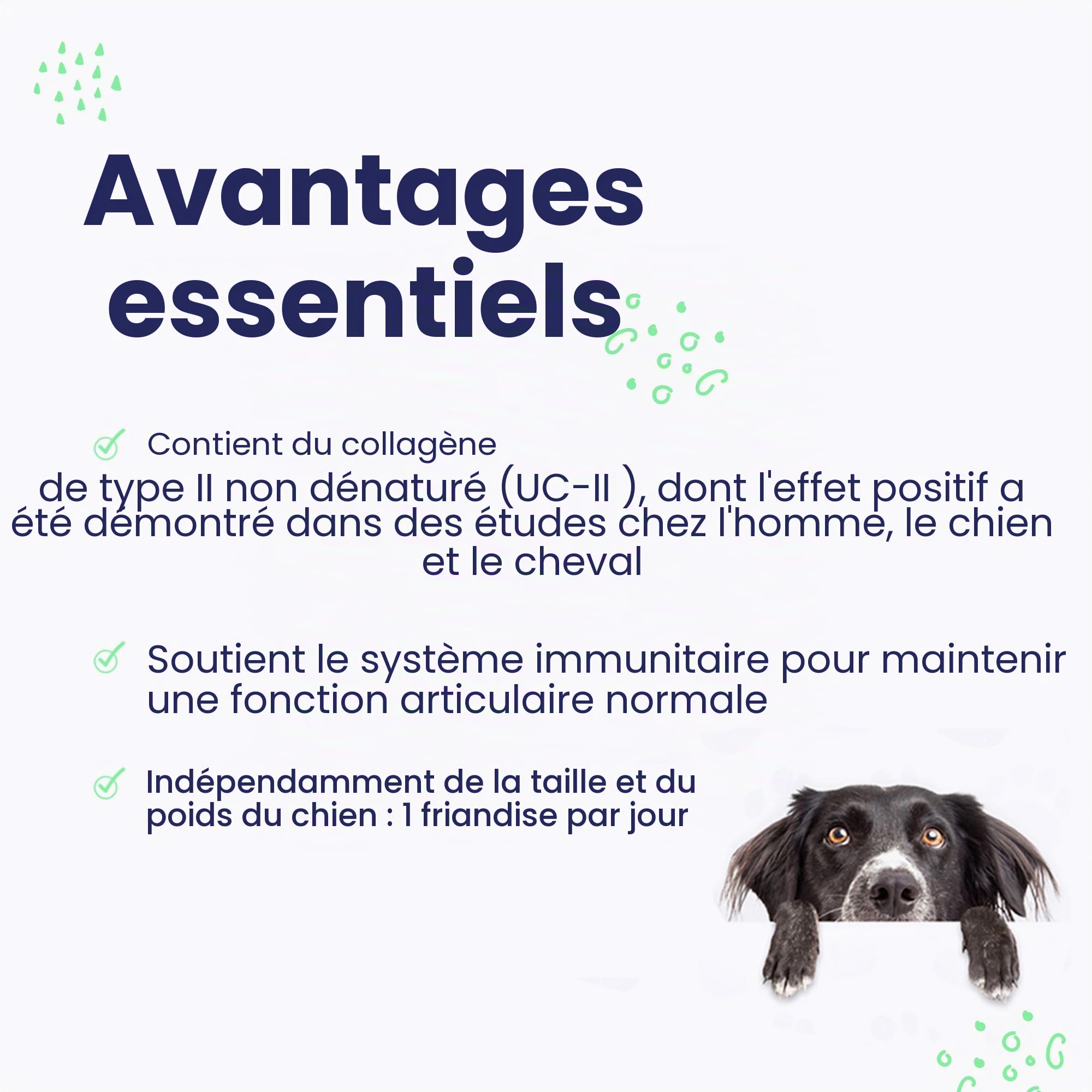 FLEXADIN Advanced® Chien | Pour la santé des articulations | Collagène non dénaturé de type II & Boswellia – 60 friandises articulaires