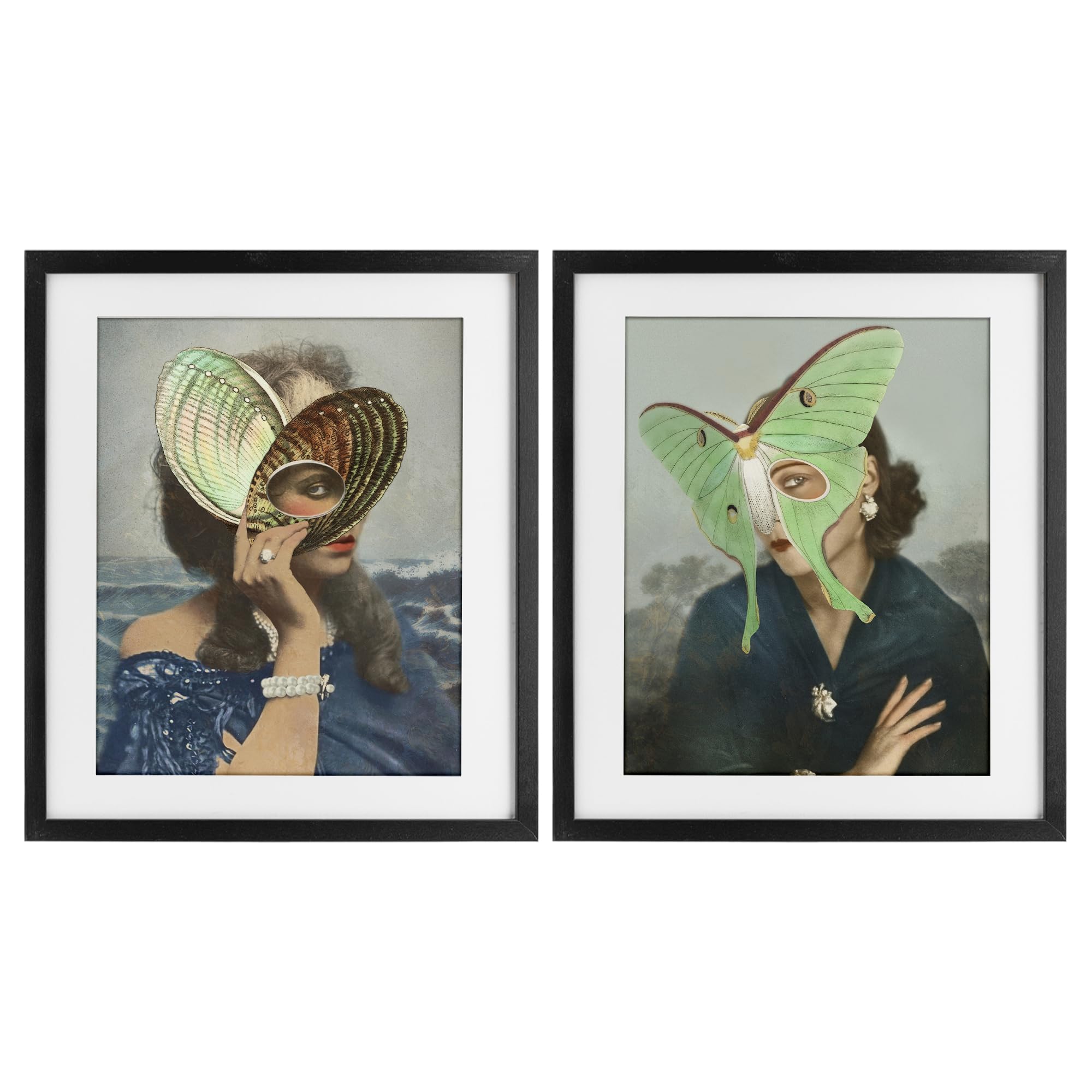 Stupell Industries Women's Midnight Black (Textured) Naturalist Portraits, 17 X 21 Inch Framed Print Under Glass Set