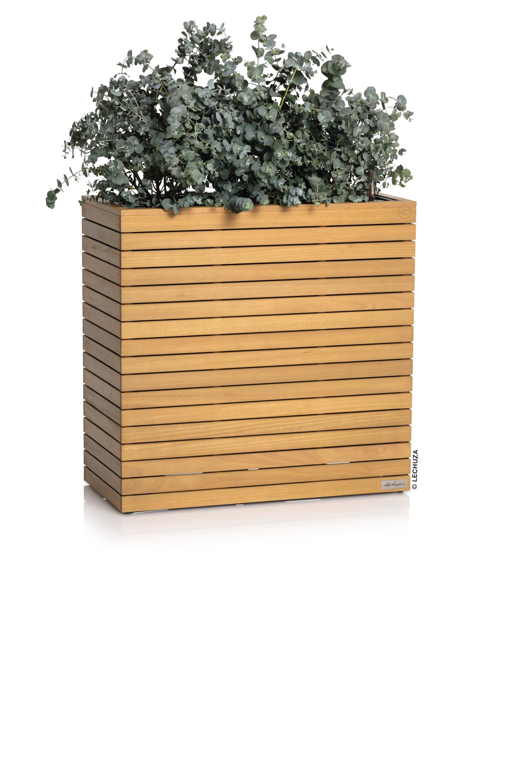 LECHUZA-Pflanzgefäß PALO Natural Wood 80 Wide high Eukalyptusholz, Pflanzgefäß mit Bewässerungssystem, Wasserstandsanzeiger und Pflanzeinsatz, Echtholz-Oberfläche, 78,5 x 37 x 77 cm, 16775
