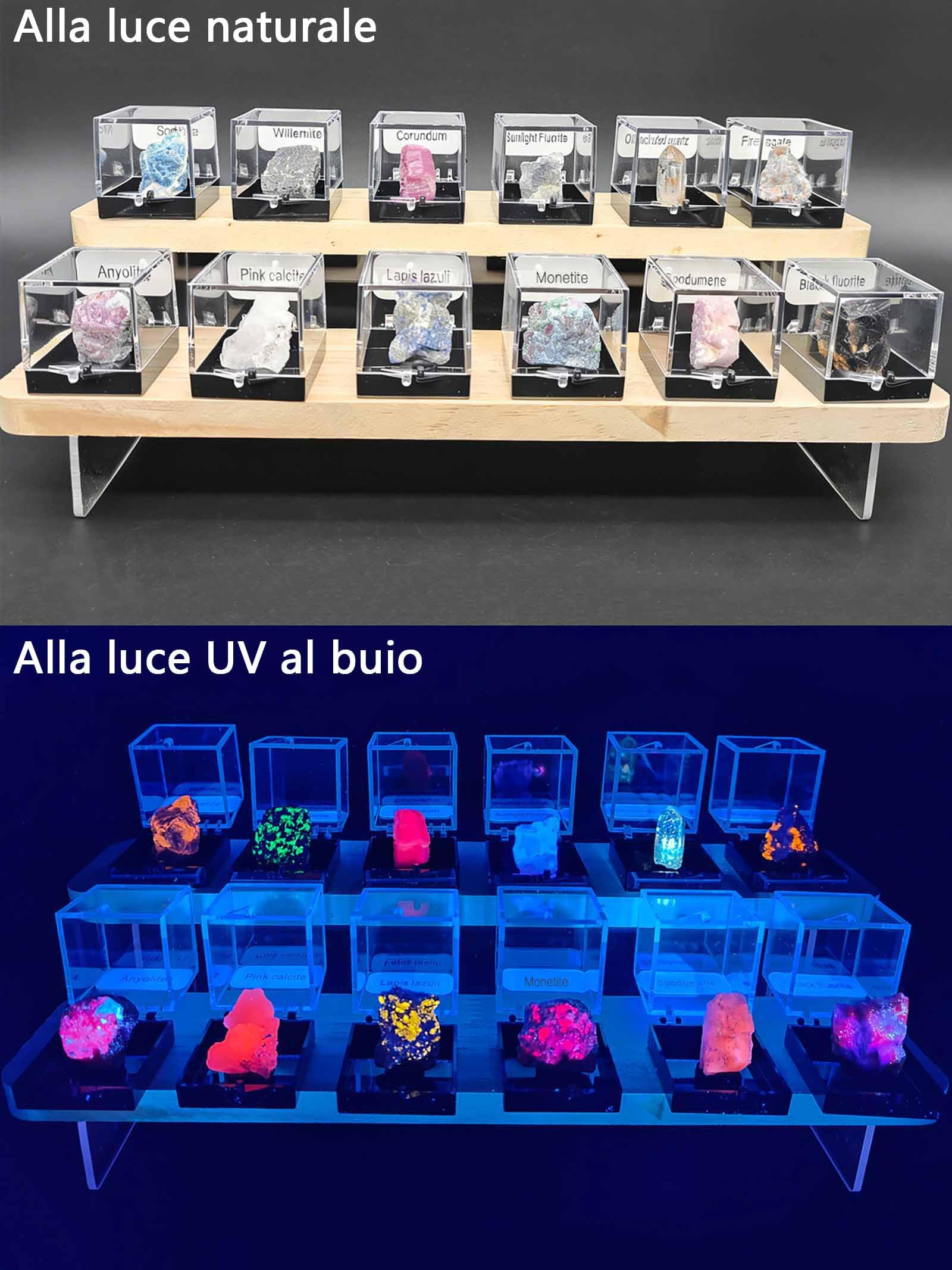 Fluorescent Mineral Specimens Set – 12 Natural UV Reactive Rocks with UV Torch and Display Stand, Geology Rock Collection for Stem Science Study, Educational Gift for Students & Collectors