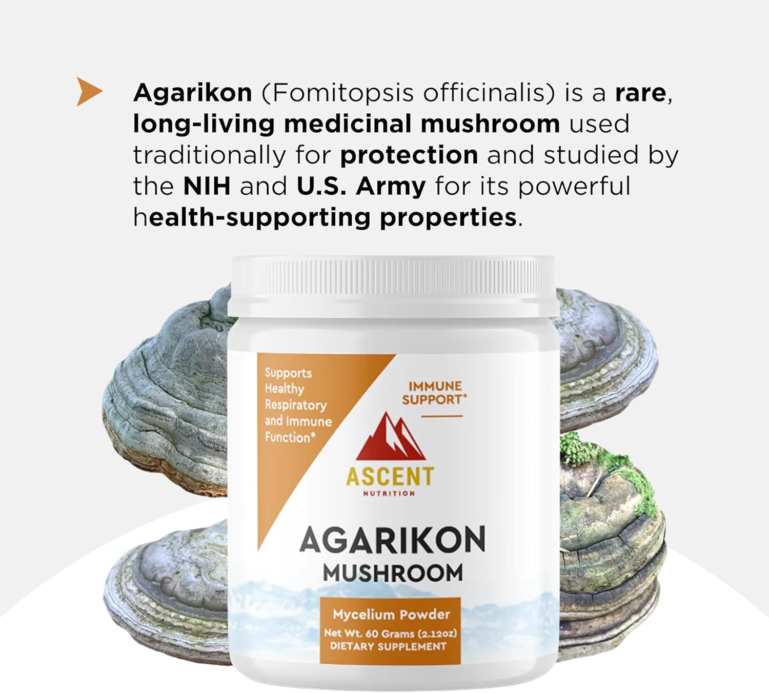 Ascent Nutrition Organic Agarikon Mushroom Powder | Supports Healthy Respiratory and Immune Function | Mycelium Powder | 30 Servings - Image 3