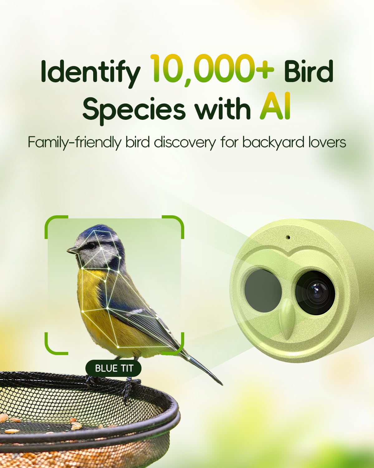 Mangiatoia Intelligente per Uccelli Con Fotocamera, AI Identify