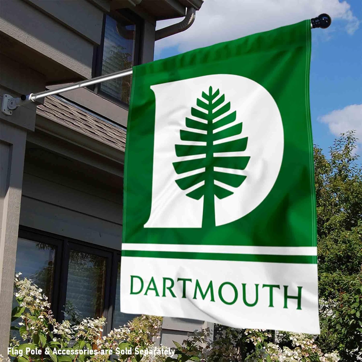 Dartmouth Big Green Wordmark Logo House Flag Banner - Image 2
