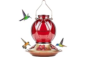 Hummingbird Feeder, Glass Hummingbird Feeder for Outdoors, Meshy Texture Ball Shape Bottle, 20 Ounce Capacity